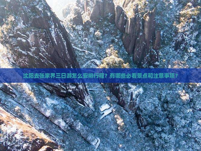 沈阳去张家界三日游