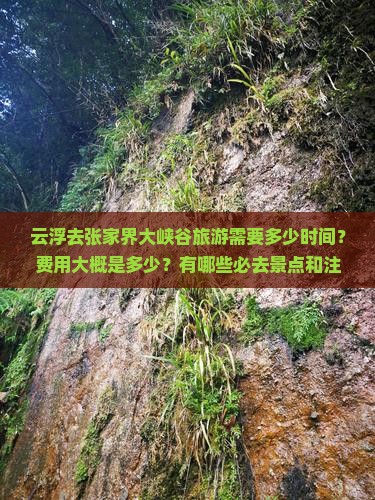云浮去张家界大峡谷旅游 云浮去张家界大峡谷旅游