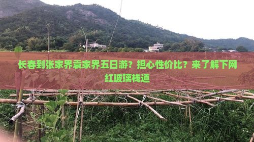 长春去张家界袁家界五日游