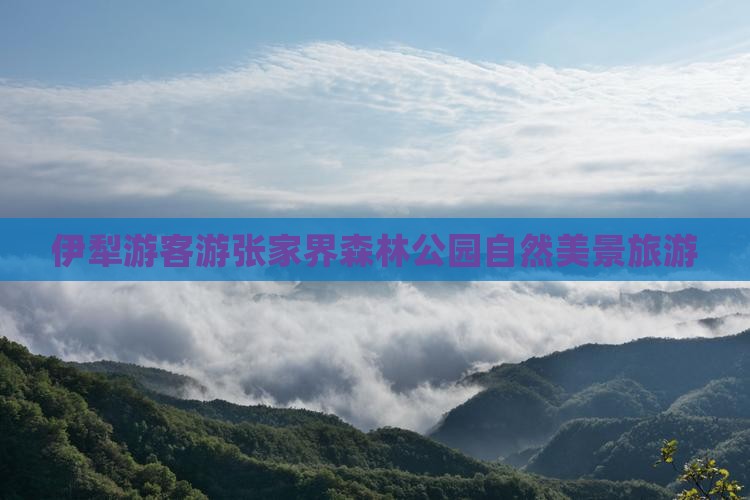伊犁哈萨克去张家界森林公园团体旅游 伊犁哈萨克去张家界森林公园团体旅游