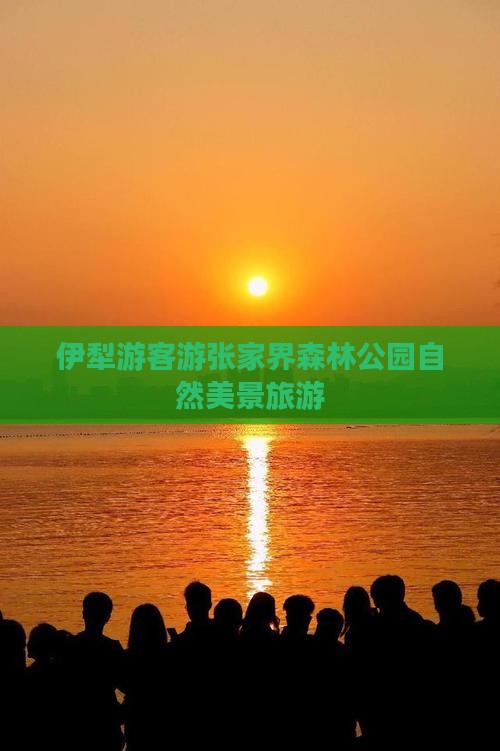 伊犁哈萨克去张家界森林公园团体旅游 伊犁哈萨克去张家界森林公园团体旅游