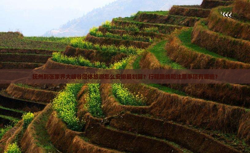 抚州到张家界大峡谷团体旅游