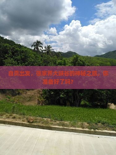 自贡去张家界大峡谷必去地