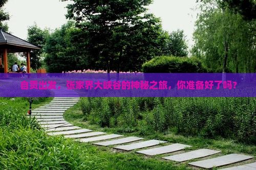 自贡去张家界大峡谷必去地