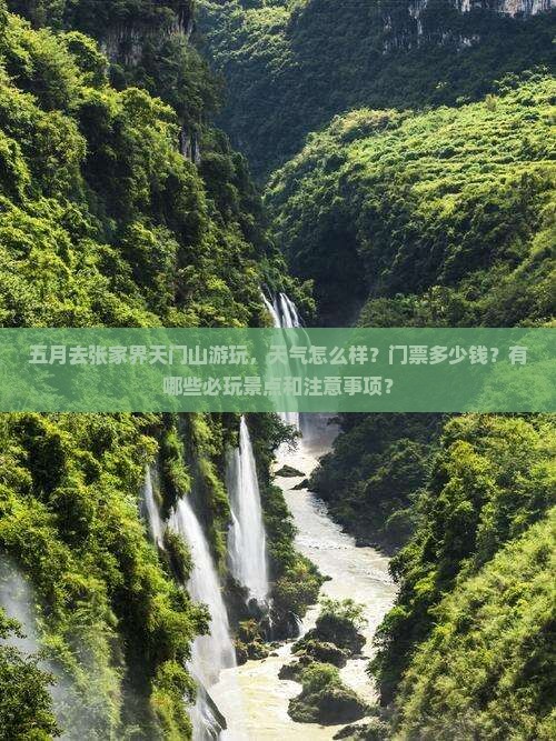 五月到张家界天门山景点