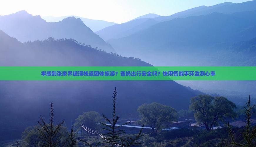 孝感到张家界玻璃栈道团体旅游