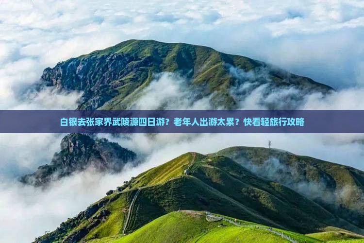 白银去张家界武陵源四日游
