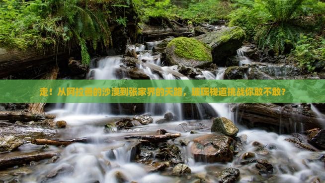 阿拉善盟到张家界玻璃栈道六日游