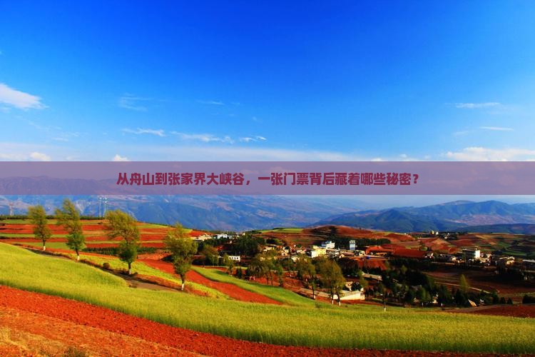 舟山去张家界大峡谷门票
