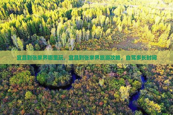 宜昌到张家界哪里玩