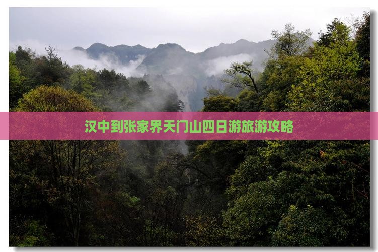 汉中到张家界天门山四日游