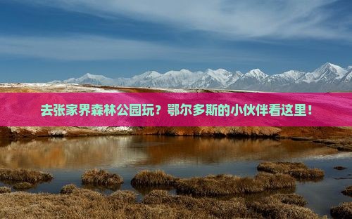 鄂尔多斯去张家界森林公园哪里玩