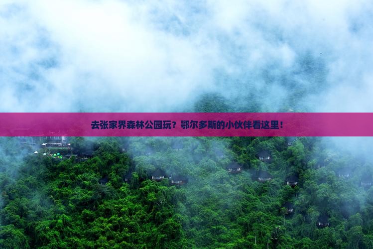 鄂尔多斯去张家界森林公园哪里玩