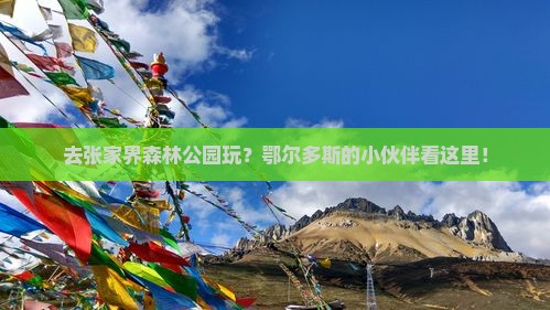 鄂尔多斯去张家界森林公园哪里玩