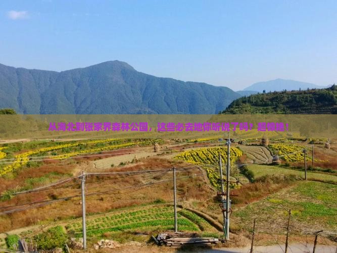 海北到张家界森林公园必去地