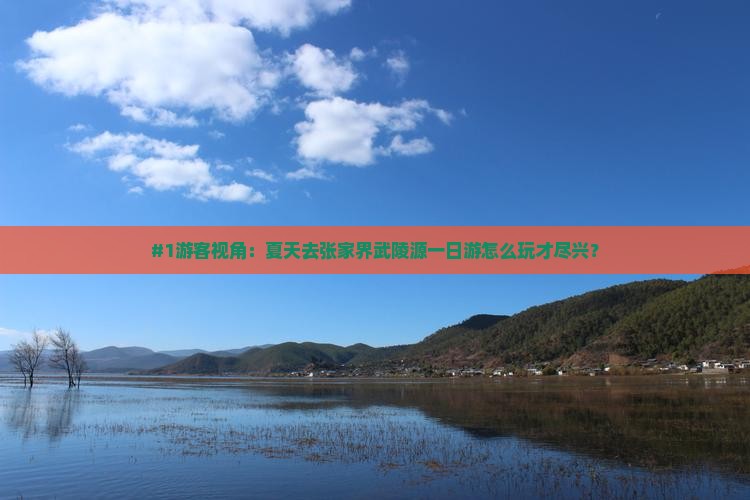 夏天去张家界武陵源一日