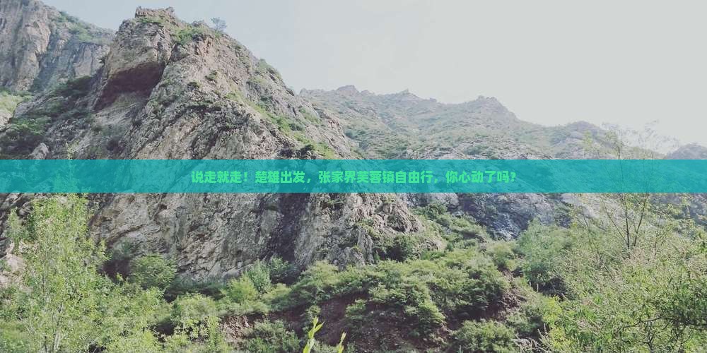 楚雄到张家界芙蓉镇自由团