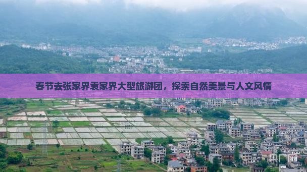 春节去张家界袁家界大型旅游团