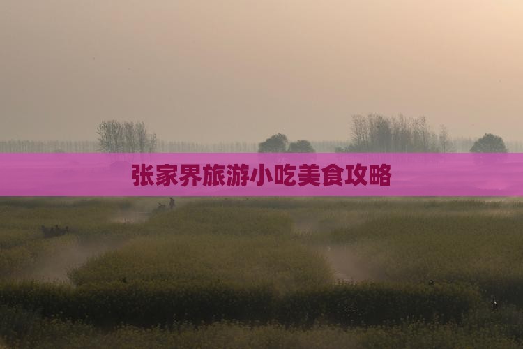 凉山到张家界袁家界旅游小吃