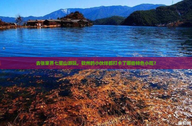 钦州去张家界七星山旅游小吃