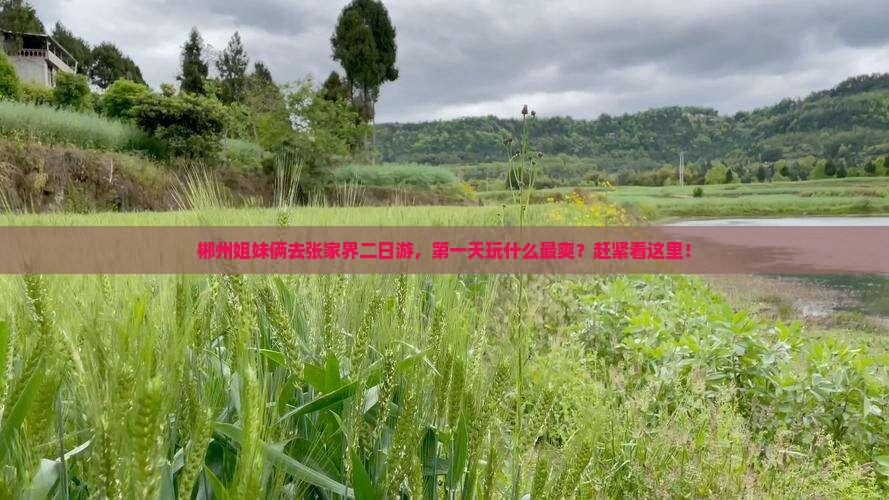 郴州去张家界二日游