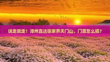 漳州到张家界天门山门票