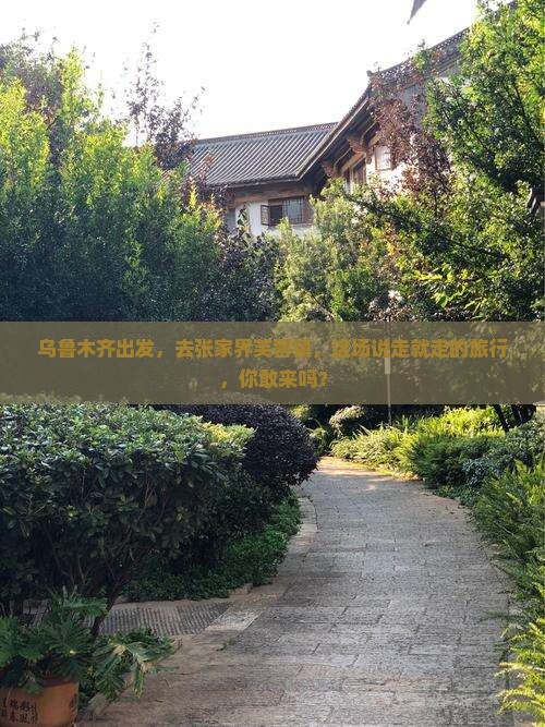 乌鲁木齐去张家界芙蓉镇自由团