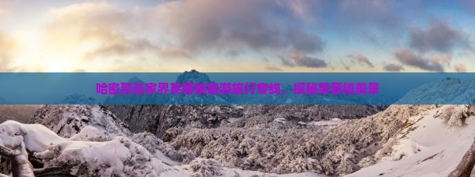 哈密到张家界芙蓉镇旅行社