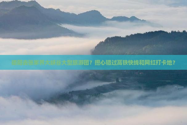 德阳去张家界大峡谷大型旅游团