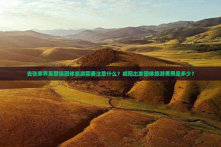 咸阳到张家界芙蓉镇团体旅游