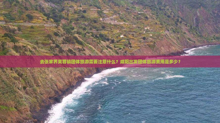 咸阳到张家界芙蓉镇团体旅游