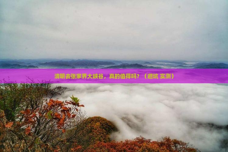 清明节去张家界大峡谷自由行