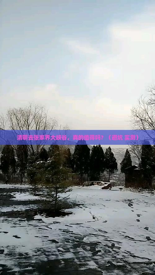 清明节去张家界大峡谷自由行