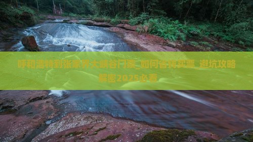 呼和浩特到张家界大峡谷门票