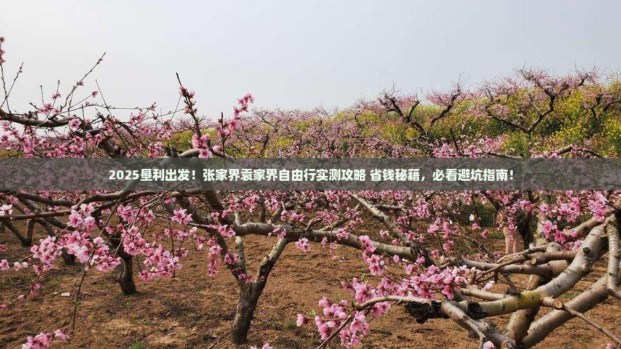 垦利去张家界袁家界自由团