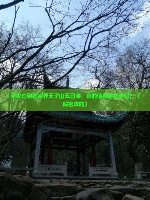 张家口到张家界天子山五日游