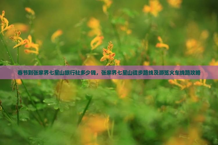 春节到张家界七星山旅行社