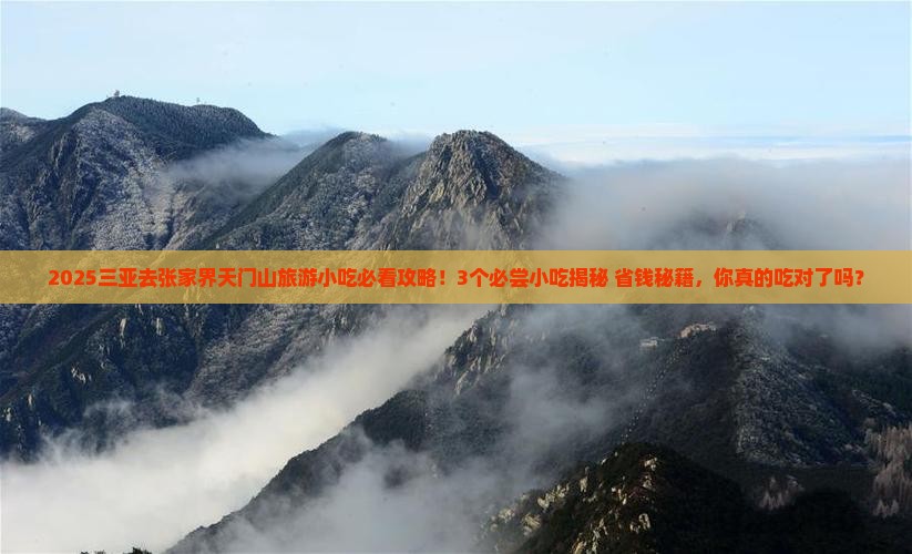三亚去张家界天门山旅游小吃