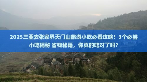 三亚去张家界天门山旅游小吃