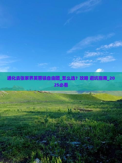 通化去张家界芙蓉镇自由团