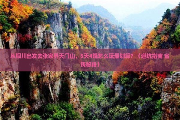 铜川去张家界天门山门票