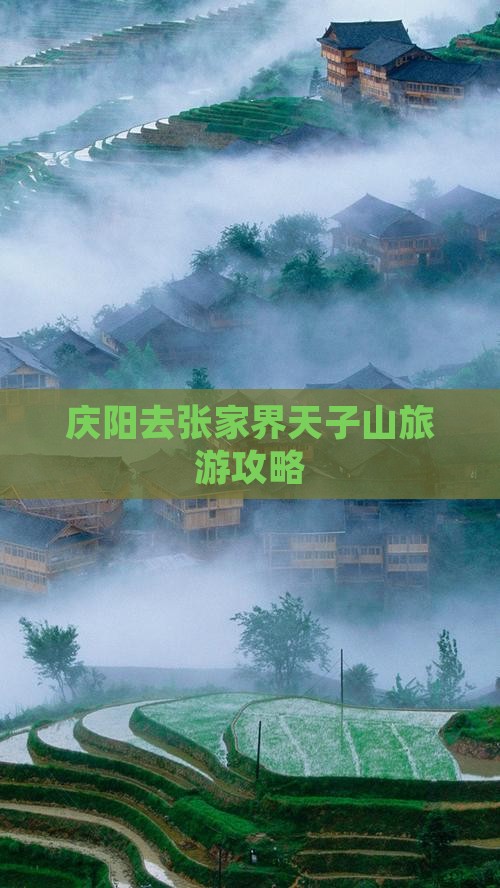 庆阳去张家界天子山旅游