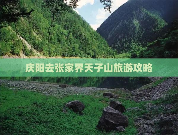 庆阳去张家界天子山旅游