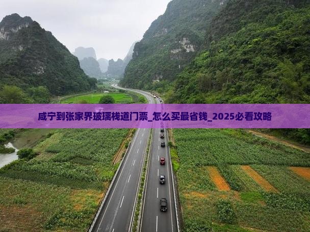 咸宁到张家界玻璃栈道门票