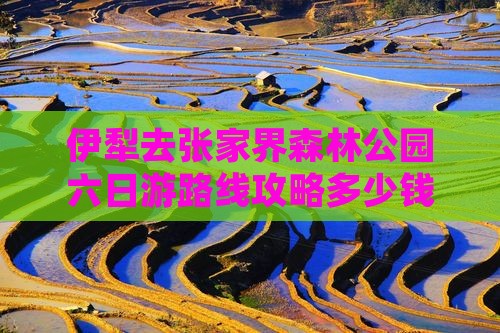 伊犁去张家界森林公园六日游