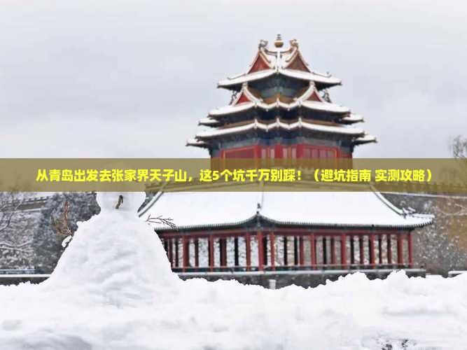 青岛去张家界天子山景点