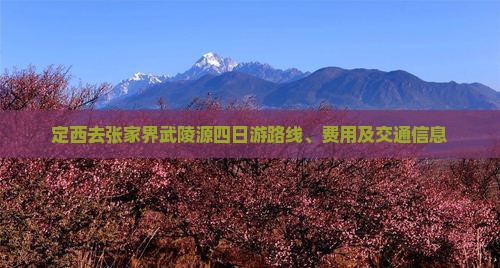 定西去张家界武陵源四日游