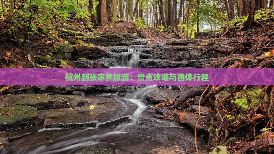 杭州到张家界袁家界团体旅游