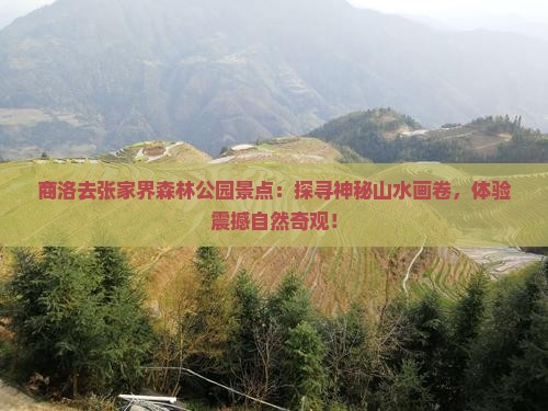 商洛去张家界森林公园景点