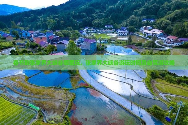 春节到张家界大峡谷哪里玩